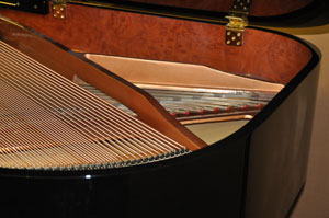 Cavendish piano strings